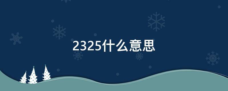 2325什么意思（2325什么意思呢）