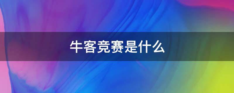 牛客竞赛是什么 牛客竞赛日历