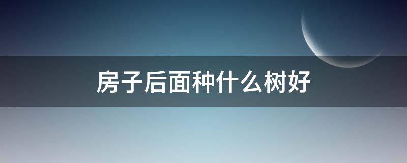 房子后面种什么树好（房子后面种什么树好风水不好）