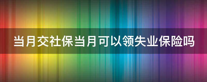 当月交社保当月可以领失业保险吗（当月交社保当月可以领失业保险吗）