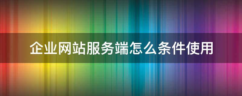 企业网站服务端怎么条件使用（企业网站服务端怎么条件使用的）