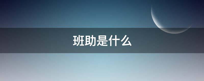 班助是什么（班助是什么学生还是老师）