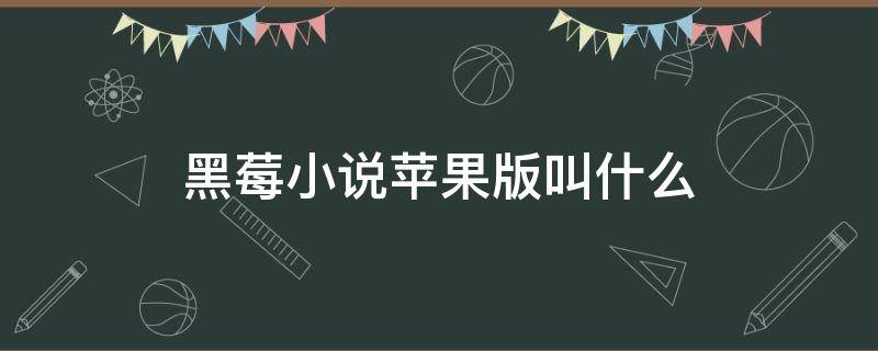 黑莓小说苹果版叫什么 黑莓小说最新版本下载