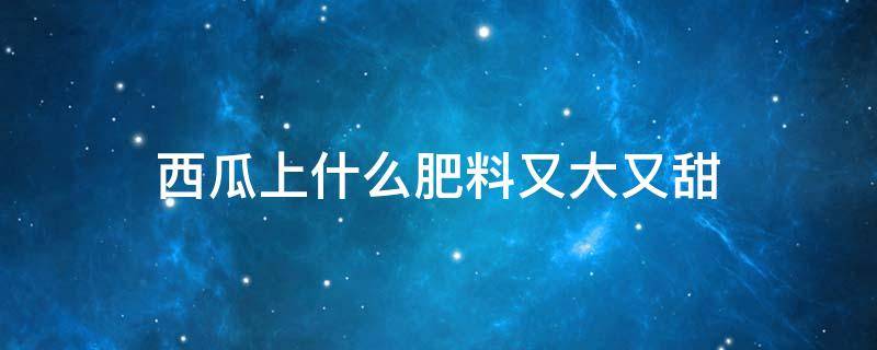 西瓜上什么肥料又大又甜 西瓜使用什么肥料长得大好甜