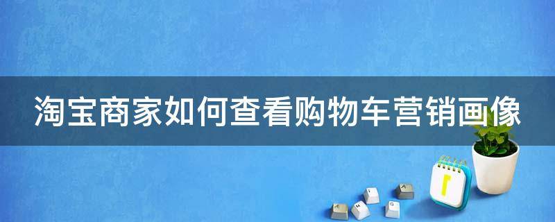 淘宝商家如何查看购物车营销画像（淘宝商家如何查看购物车营销画像图）