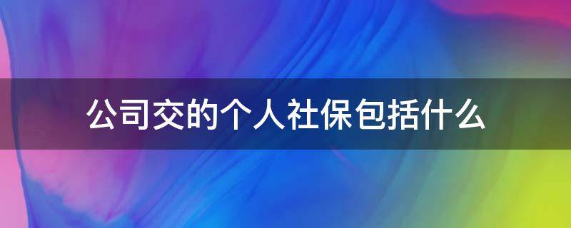 公司交的个人社保包括什么（公司买个人社保）