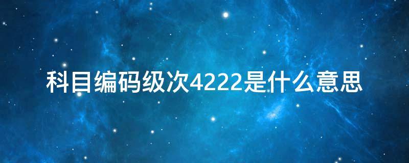 科目编码级次4222是什么意思（科目编码级次4222是什么意思呀）