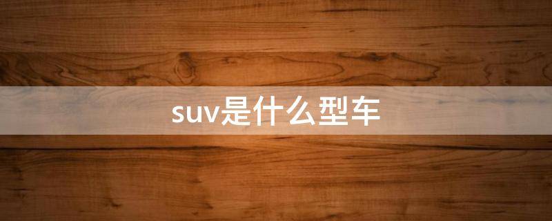 suv是什么型车 suv是什么的车