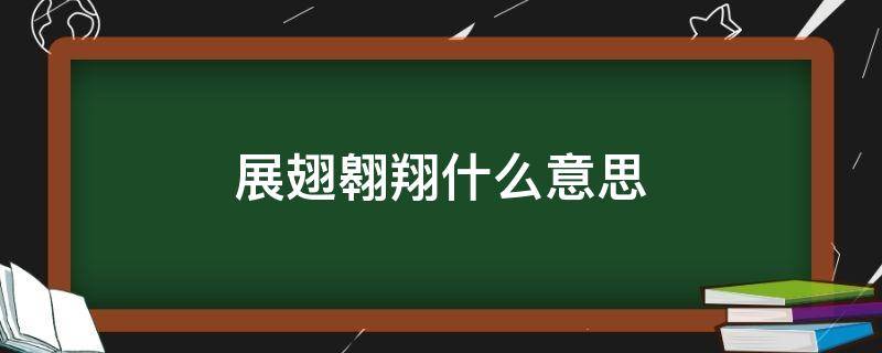 展翅翱翔什么意思（展翅翱翔什么意思求解）