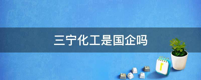 三宁化工是国企吗 三宁化工是国企吗还是私企