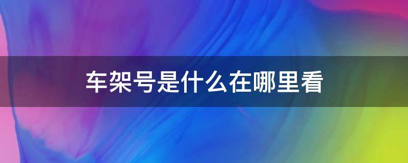 车架号是什么在哪里看（依维柯车架号是什么在哪里看）