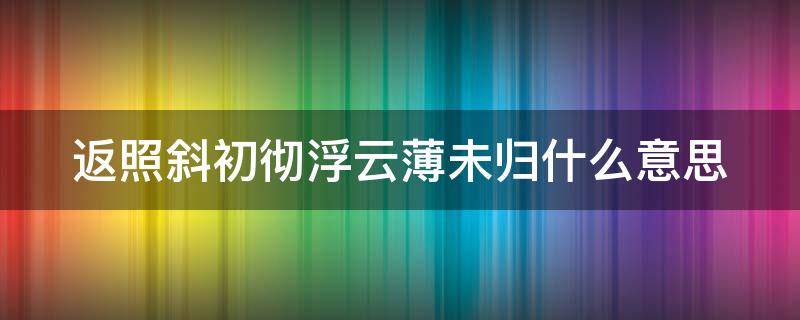 返照斜初彻浮云薄未归什么意思（返照斜初彻全诗的拼音和解释）