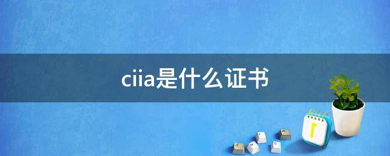 ciia是什么证书（ciia是什么证书有什么用?）