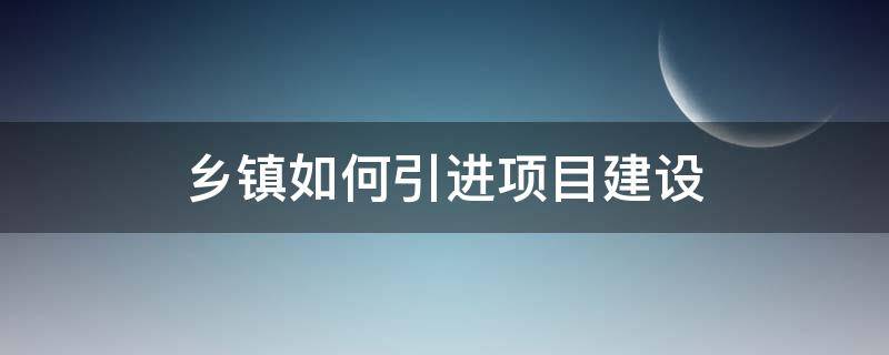 乡镇如何引进项目建设（乡镇如何引进项目建设工作）