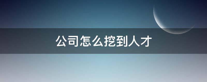 公司怎么挖到人才 公司怎么挖到人才