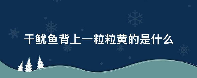 干鱿鱼背上一粒粒黄的是什么（鱿鱼干背上密密麻麻的小黄点图片）