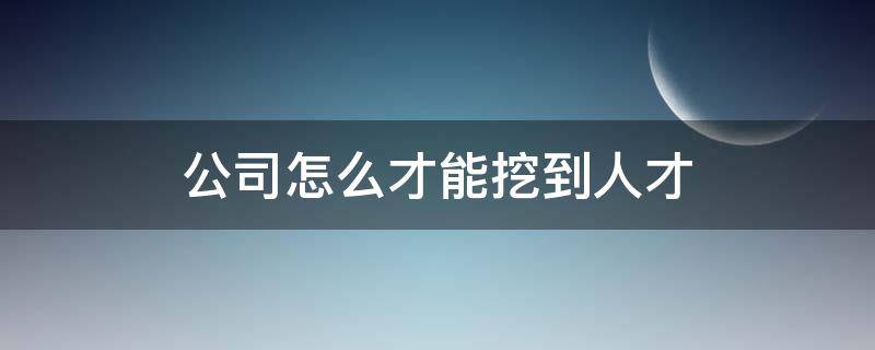 公司怎么才能挖到人才 公司如何挖掘人才