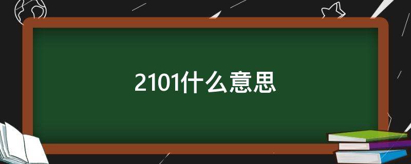 2101什么意思 21011什么意思