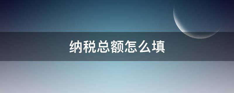 纳税总额怎么填（纳税总额怎么填 年报）