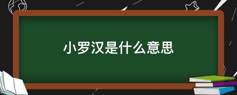 小罗汉是什么意思（罗汉是什么意思南昌）