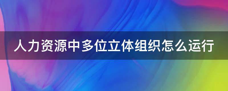 人力资源中多位立体组织怎么运行（人力资源中多位立体组织怎么运行的）