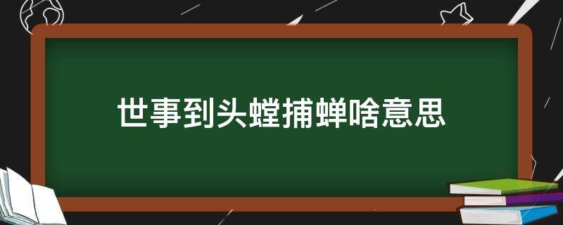 世事到头螳捕蝉啥意思（世事到头螳捕蝉是什么意思）