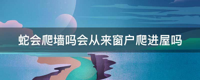 蛇会爬墙吗会从来窗户爬进屋吗 蛇会爬墙吗会从来窗户爬进屋吗图片