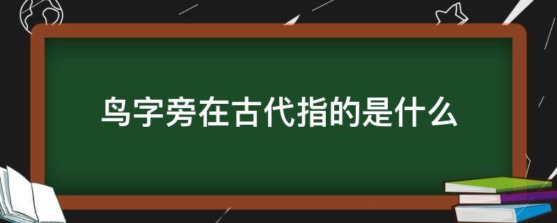 鸟字旁在古代指的是什么（鸟字旁在古代指的是什么意思）