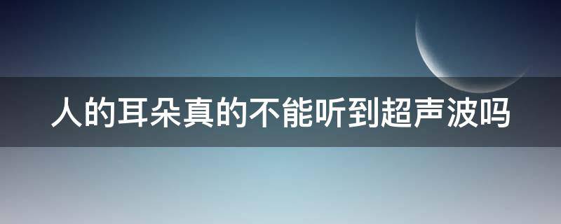 人的耳朵真的不能听到超声波吗（人的耳朵能听到超声波和次声波吗）