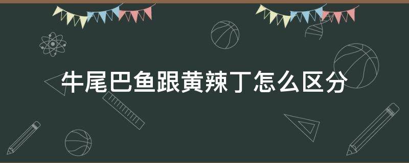 牛尾巴鱼跟黄辣丁怎么区分 牛尾鱼和黄辣丁区别