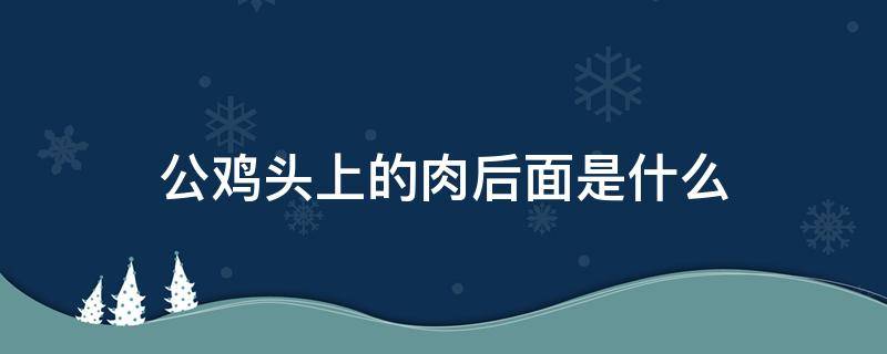 公鸡头上的肉后面是什么（公鸡头上的肉后面是什么歇后语）