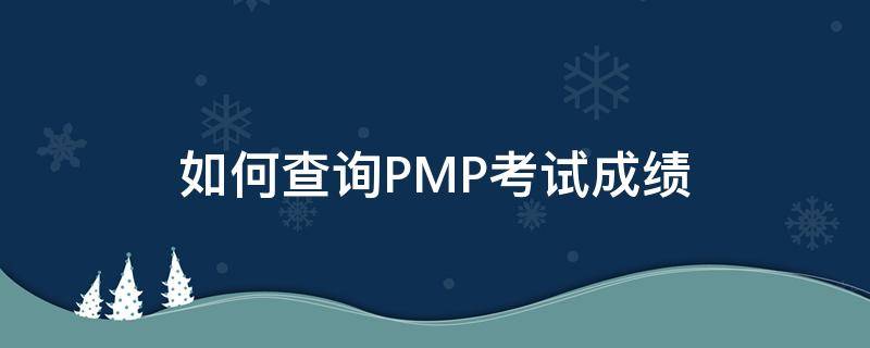 如何查询PMP考试成绩（pmp考试结果怎么查询）