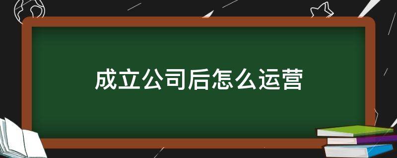 成立公司后怎么运营（成立了公司之后怎么运作）