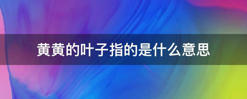 黄黄的叶子指的是什么意思 黄黄的叶子像什么仿写句子