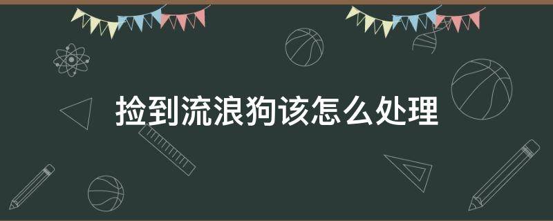 捡到流浪狗该怎么处理 捡到流浪狗该怎么处理?不能养