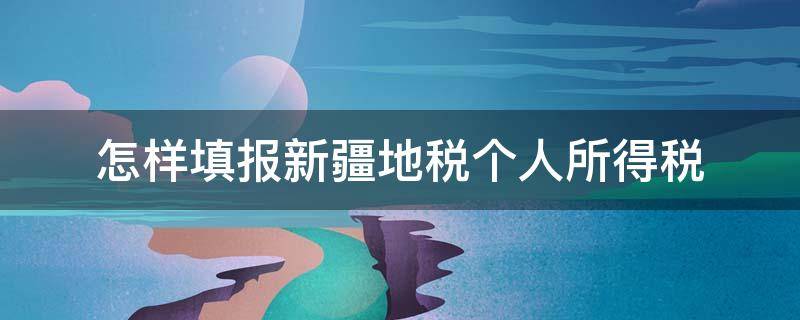 怎样填报新疆地税个人所得税（怎样填报新疆地税个人所得税申报）