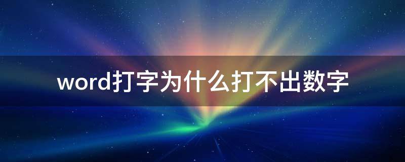 word打字为什么打不出数字 word打字为什么打不出数字了