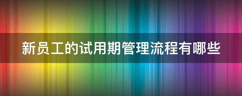 新员工的试用期管理流程有哪些（新员工的试用期管理流程有哪些要求）