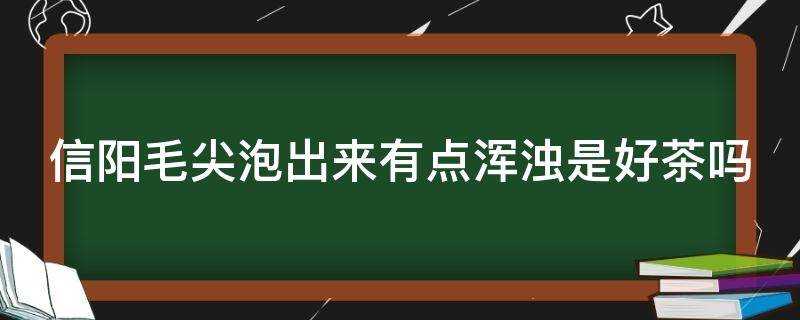 信阳毛尖泡出来有点浑浊是好茶吗（信阳毛尖茶浑浊正常吗?）