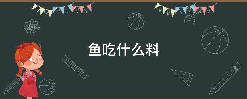 鱼吃什么料 鱼吃什么料最好