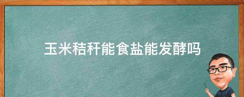 玉米秸秆能食盐能发酵吗（干玉米秸秆拌盐水）