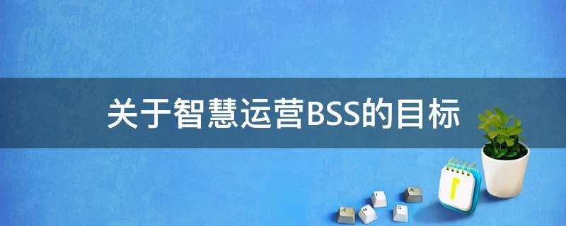 关于智慧运营BSS的目标（智慧运营方向是什么意思）