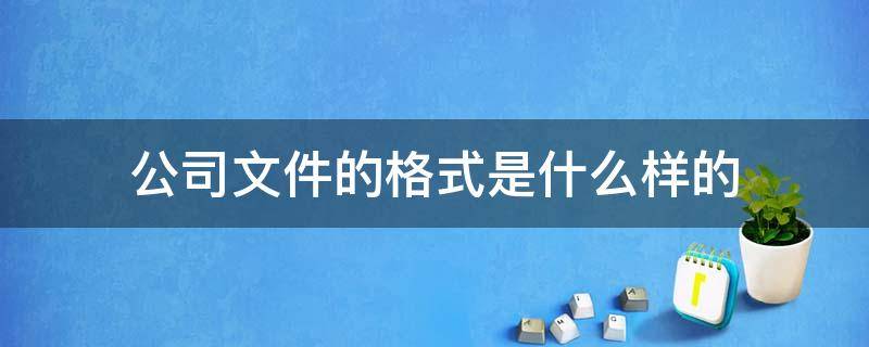 公司文件的格式是什么样的 公司文件格式模板图片