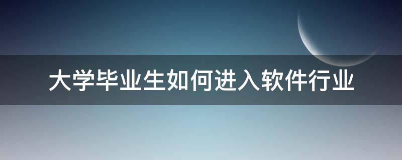 大学毕业生如何进入软件行业（大学毕业生如何进入软件行业工作）