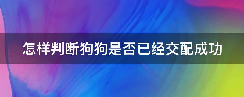 怎样判断狗狗是否已经交配成功（怎样判断狗狗是否已经交配成功了）