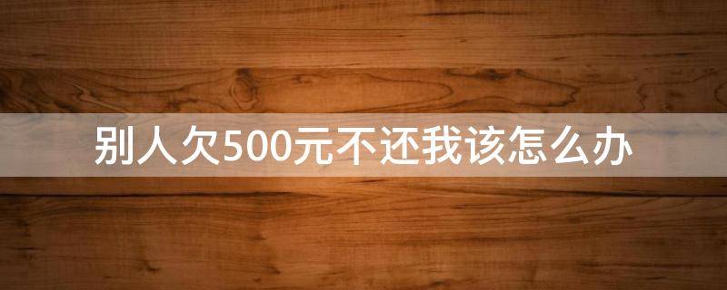 别人欠500元不还我该怎么办（别人欠500块钱不还怎么办）