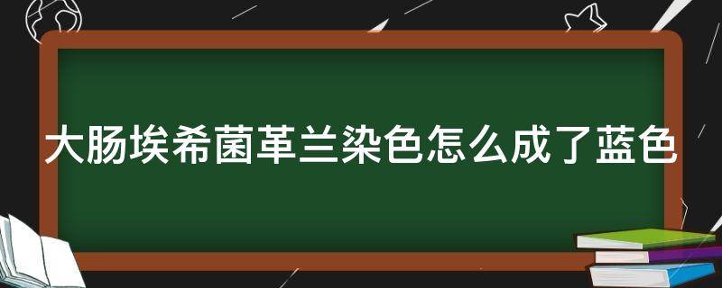 大肠埃希菌革兰染色怎么成了蓝色（大肠埃希菌为革兰阴性菌）