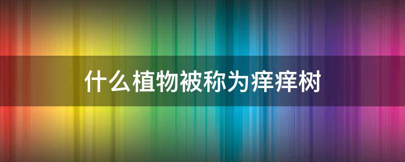 什么植物被称为痒痒树 哪种植物也被称为痒痒树