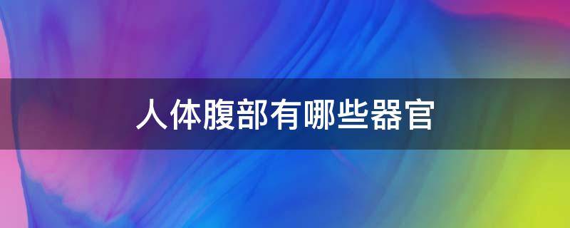 人体腹部有哪些器官（人体腹部有哪些器官组成）