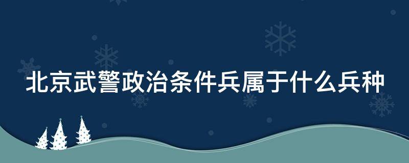 北京武警政治条件兵属于什么兵种（北京武警政治兵怎么样）